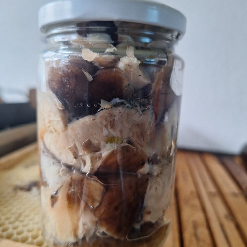 Гъба Съждивка